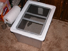 tupperware cage