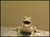 singing