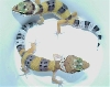 frick and frack -- clutchmates