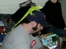 jim and basil