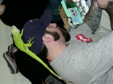 jim and basil 3