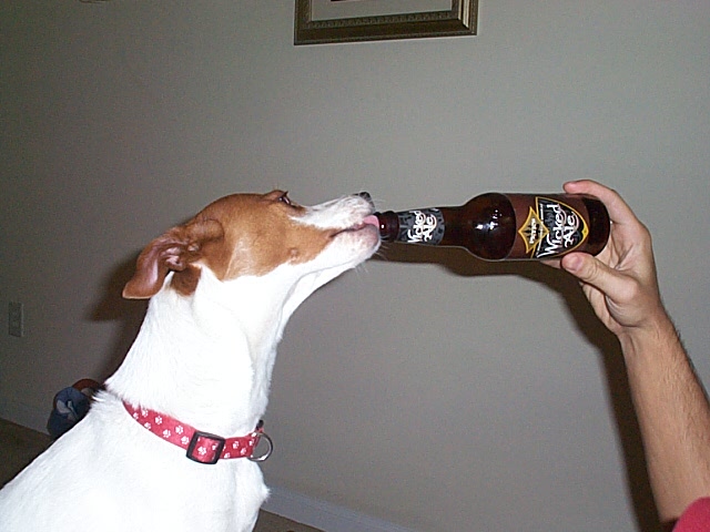 drunkidiot