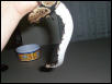 granite python belly