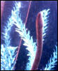 unknown2