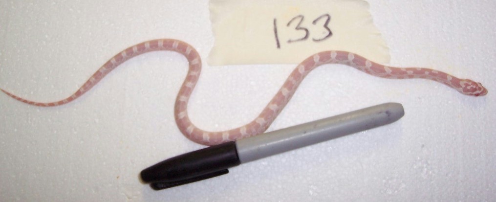133