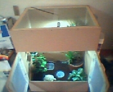 MHD Cage