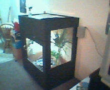 MHD cage