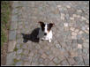 Jack 3