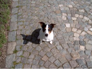 Jack 3