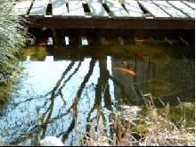 Reflection