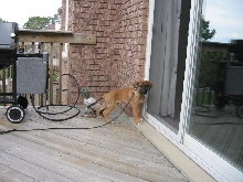 Cassius