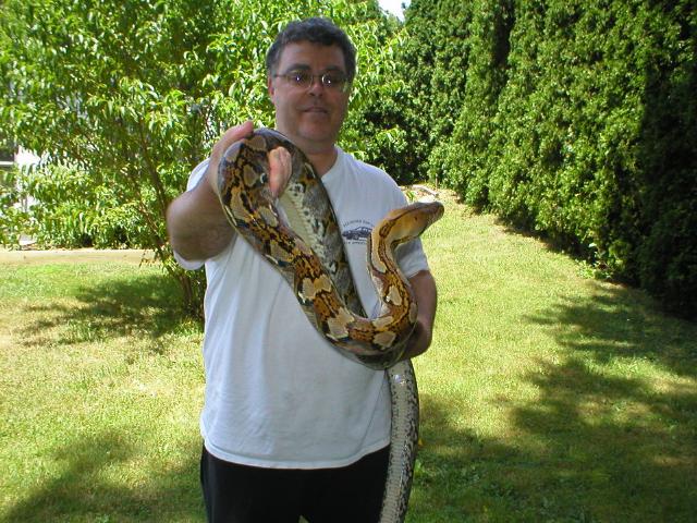male yellowhead