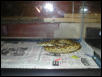 rock python
