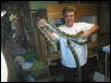 dwarf  retic