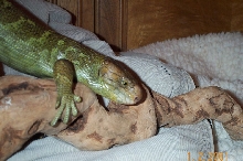 My_baby2