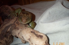 My_babys_face1