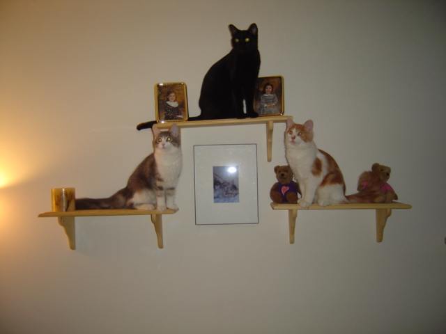 Three Statues