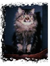 Queen Chloe