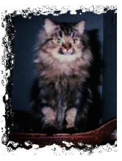 Queen Chloe