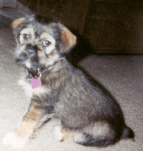 Lucy Lou
