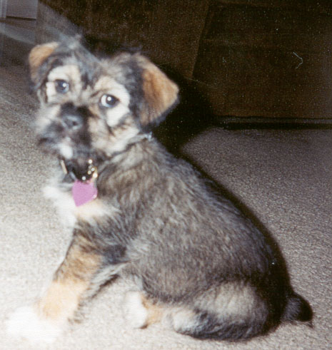 Lucy Lou