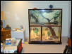 cornsnake cage