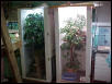 Biophiliacs Frilled Dragon Vivarium