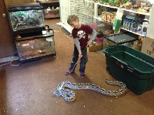 1996 Dumeril Boa and Jackson