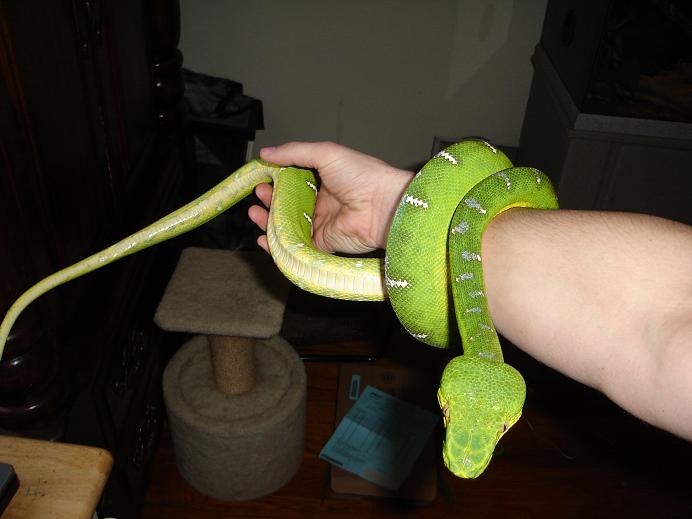 My ETB
