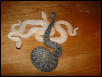 albino atrox hatchling group