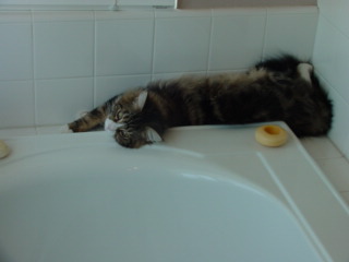 Max Relaxing