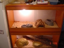 2 Viv's