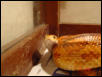 Corn Snake