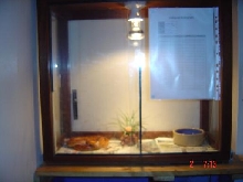 Vivarium