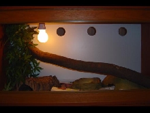 Vivarium