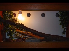 Vivarium