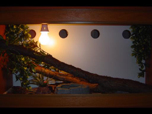 Vivarium