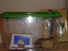 Plastic tank