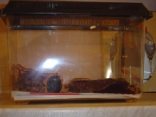 Plastic Tank