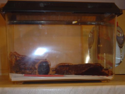 Plastic Tank