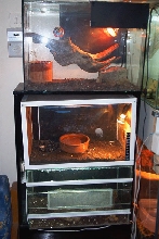 part of herproom (1 from 3)