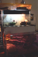 part of herproom (2 from 3)