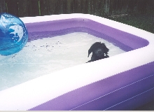 Come on in, water's great!