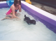 Doggy paddle
