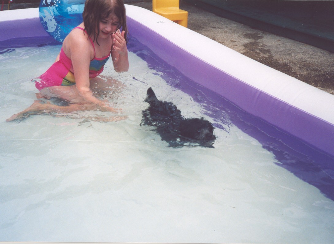 Doggy paddle