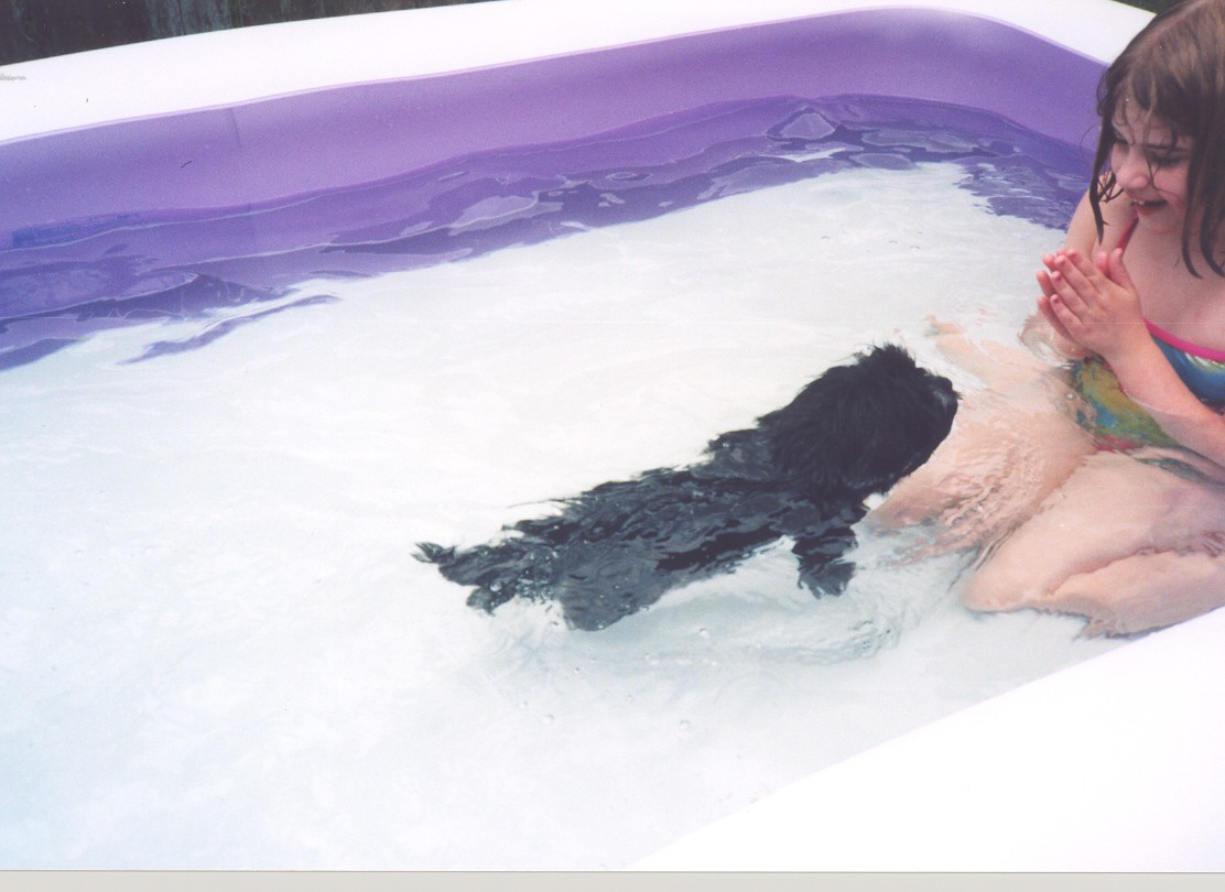 Sadie swims