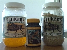 cricket food