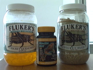 cricket food