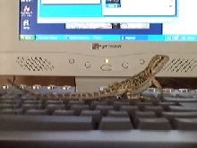another day in the office