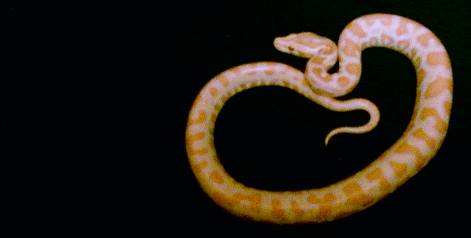 More pics of my growing baby girl